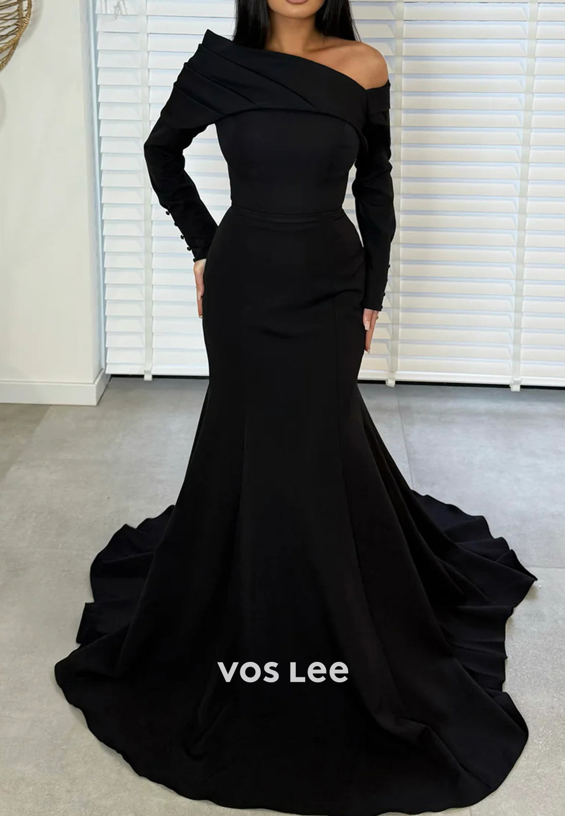 Long Sleevees One Shoulder Pleated Mermaid Evening Dresses with Court Train