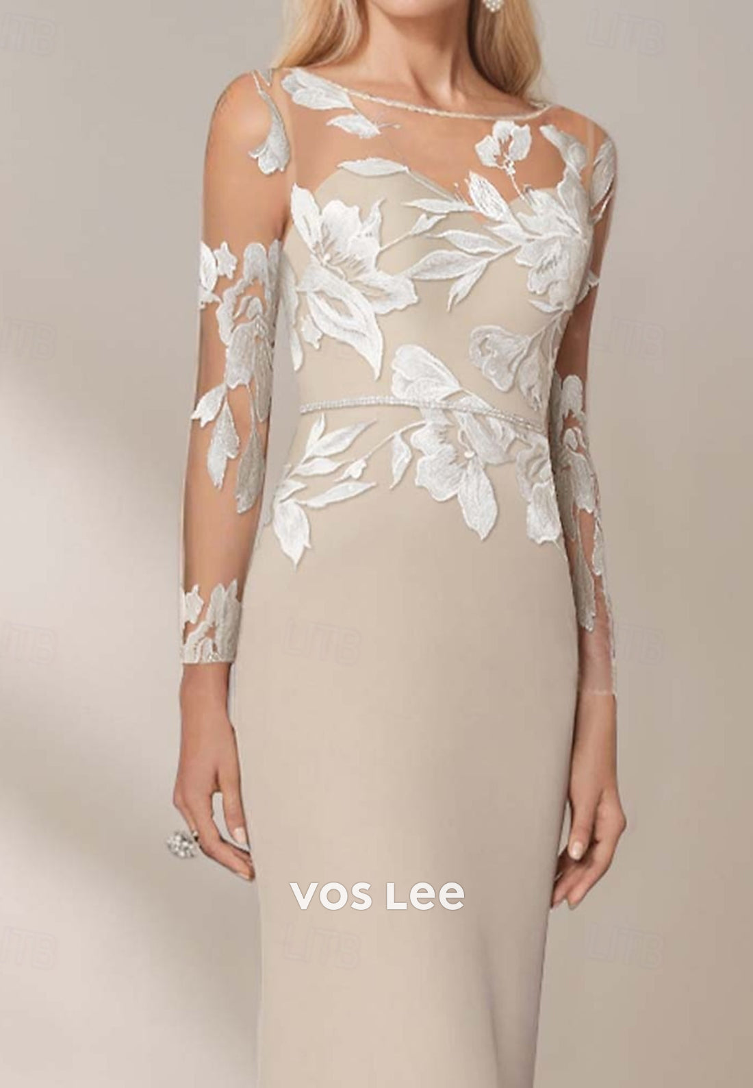Long Sleeve Illusion Neck Appliques Lace Floor-Length Sheath Mother of Bride Dresses