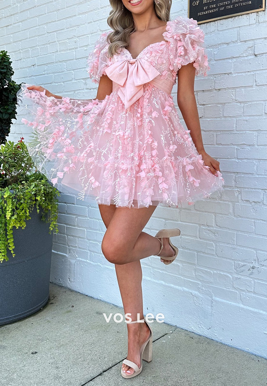 A-Line Short Sleeve Sweetheart Bowknot Appliques Lace Homecoming Dresses