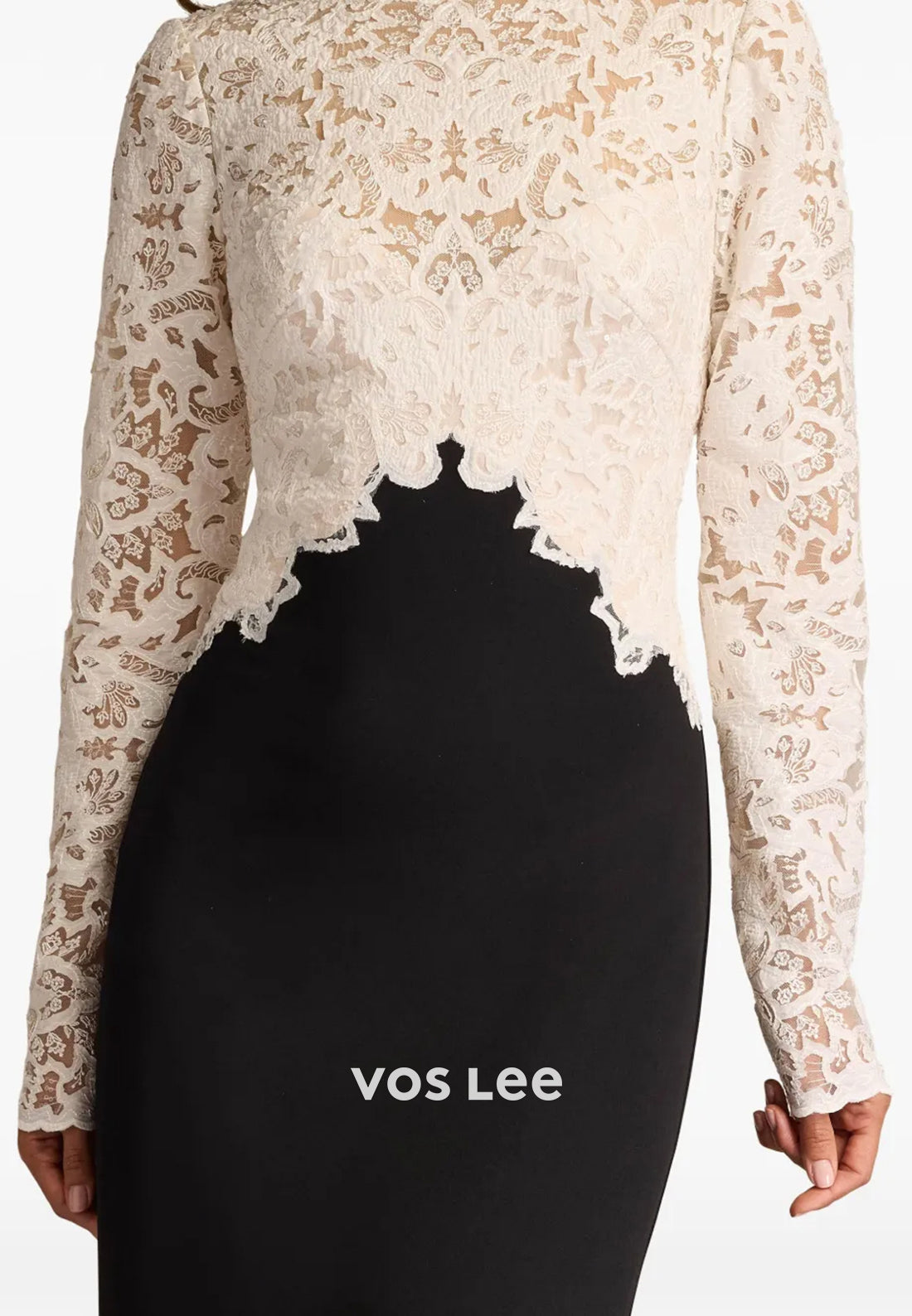 Long Sleeve Illusion Neck Appliques Lace Mermaid Evening Dresses with Sweep Train
