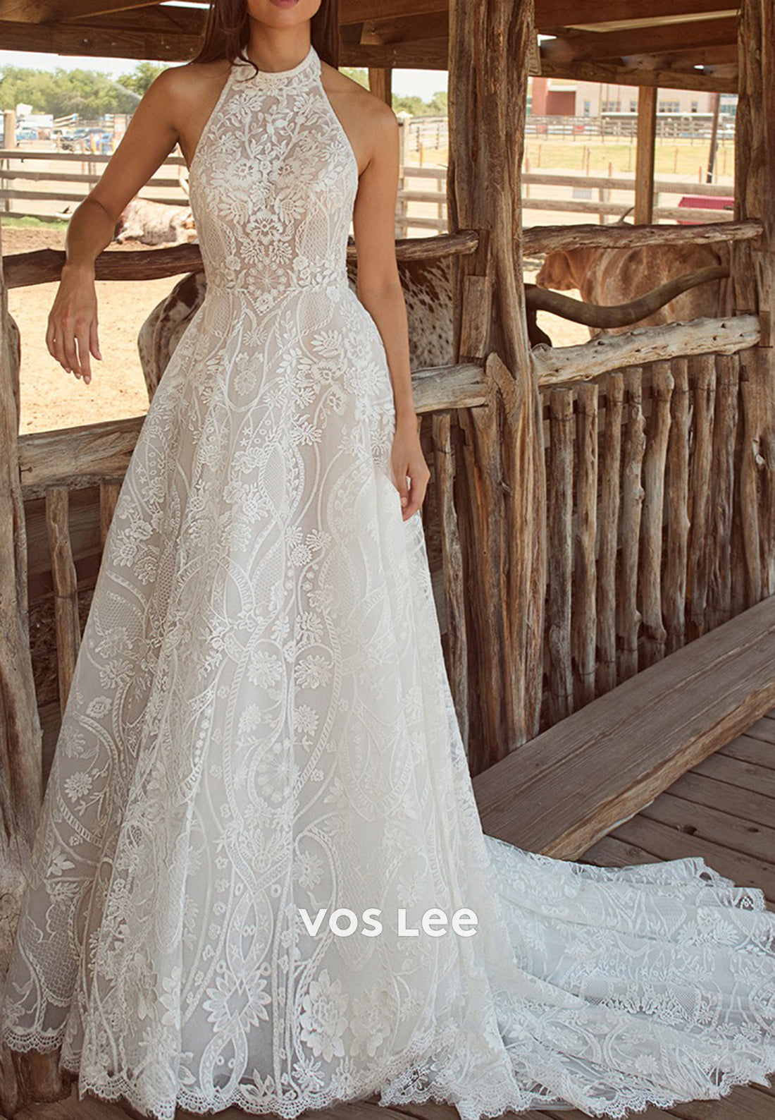 A-Line Halter Sleeveless Appliques Lace Pleated Wedding Dresses with Court Train