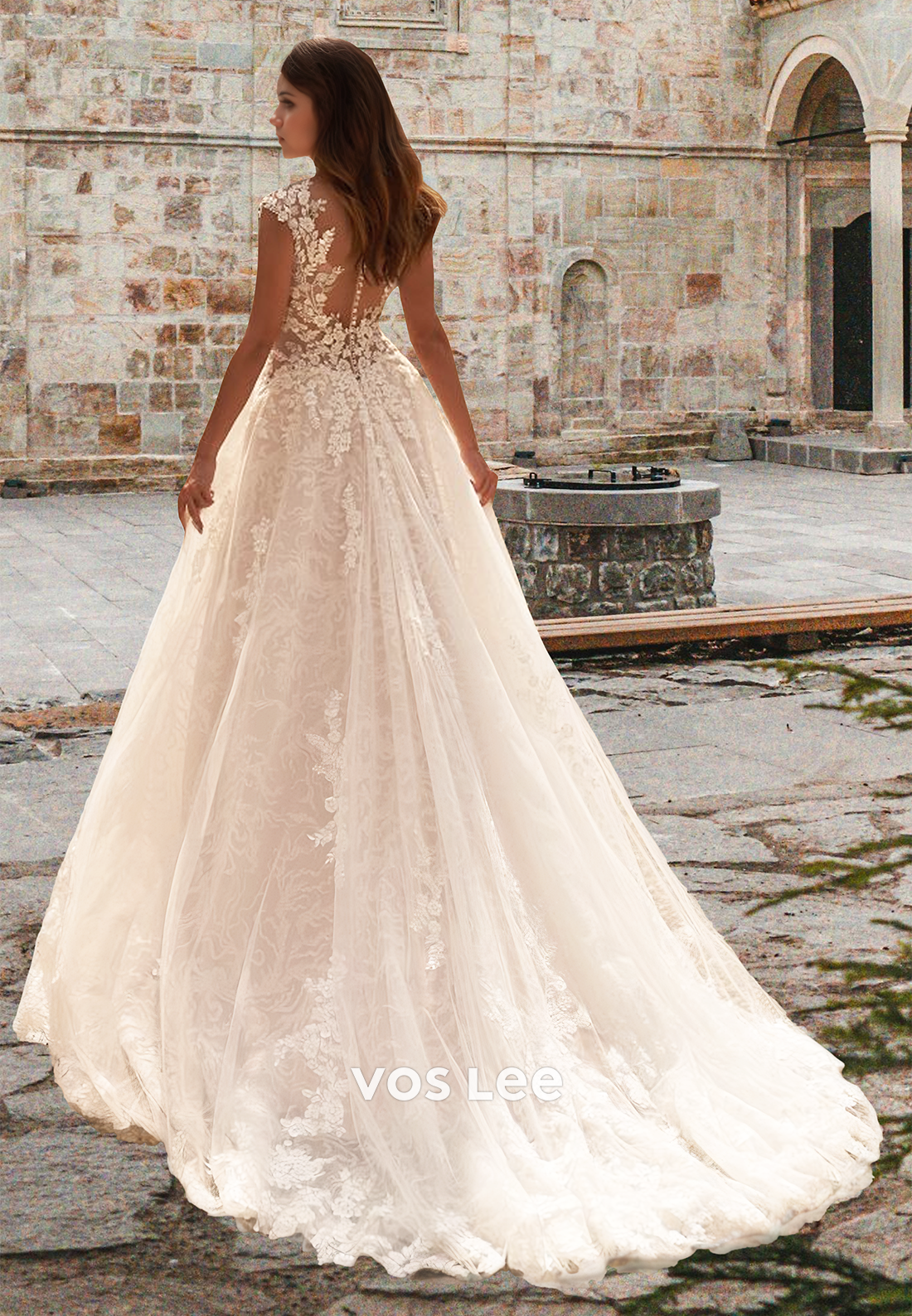 Ornate A-Line Plunging V Neck lIIusion Cap Sleeves Lace Tulle Wedding Gown
