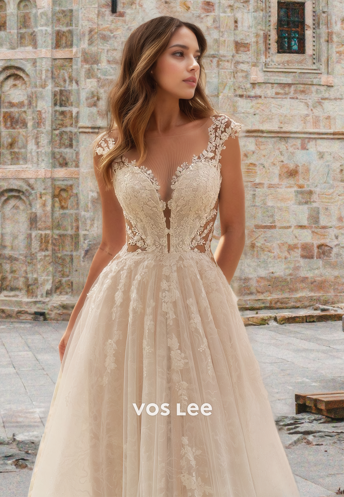 Ornate A-Line Plunging V Neck lIIusion Cap Sleeves Lace Tulle Wedding Gown