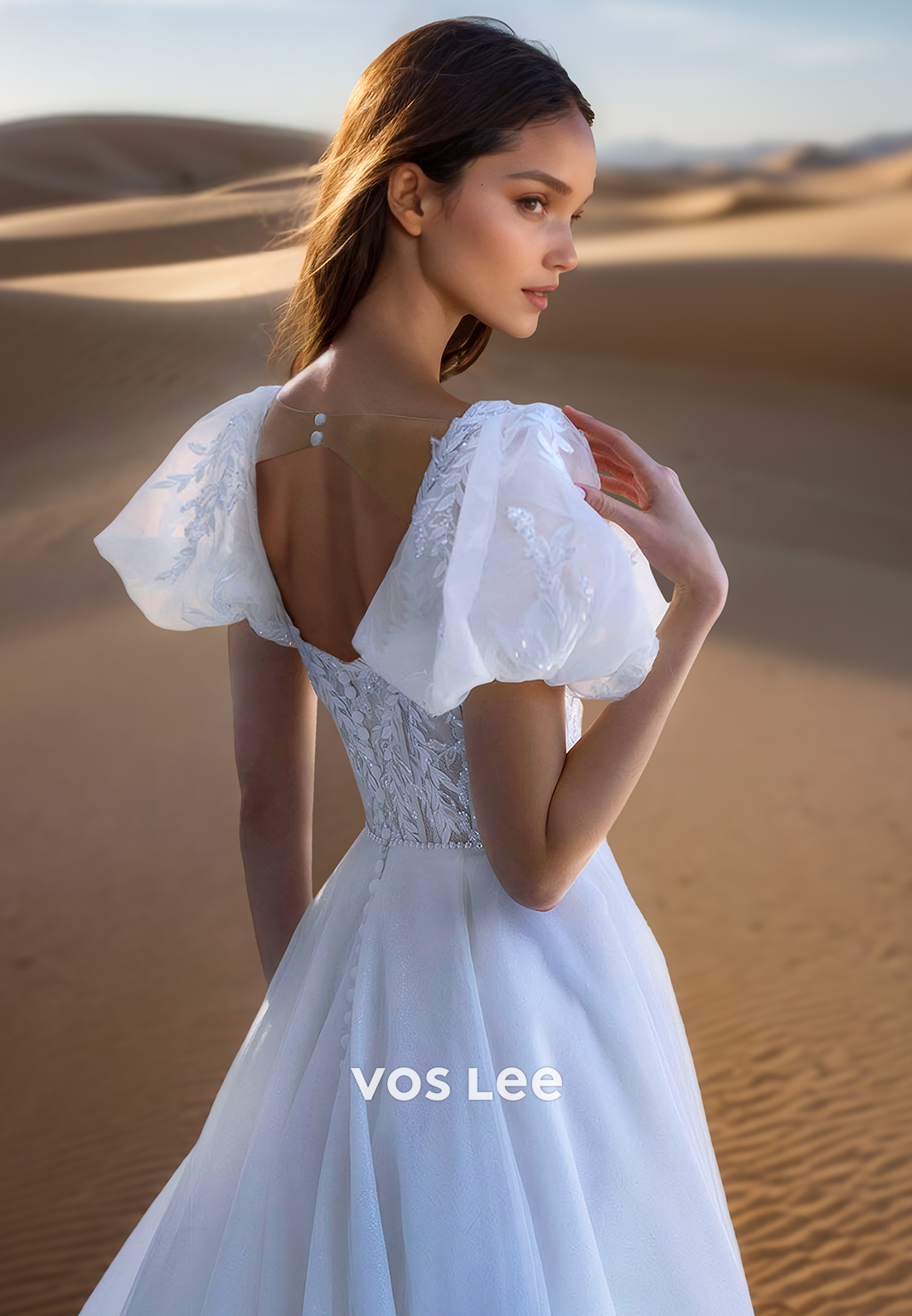 A-Line Organza Lace Applique Beach Wedding Dresses with Court Train