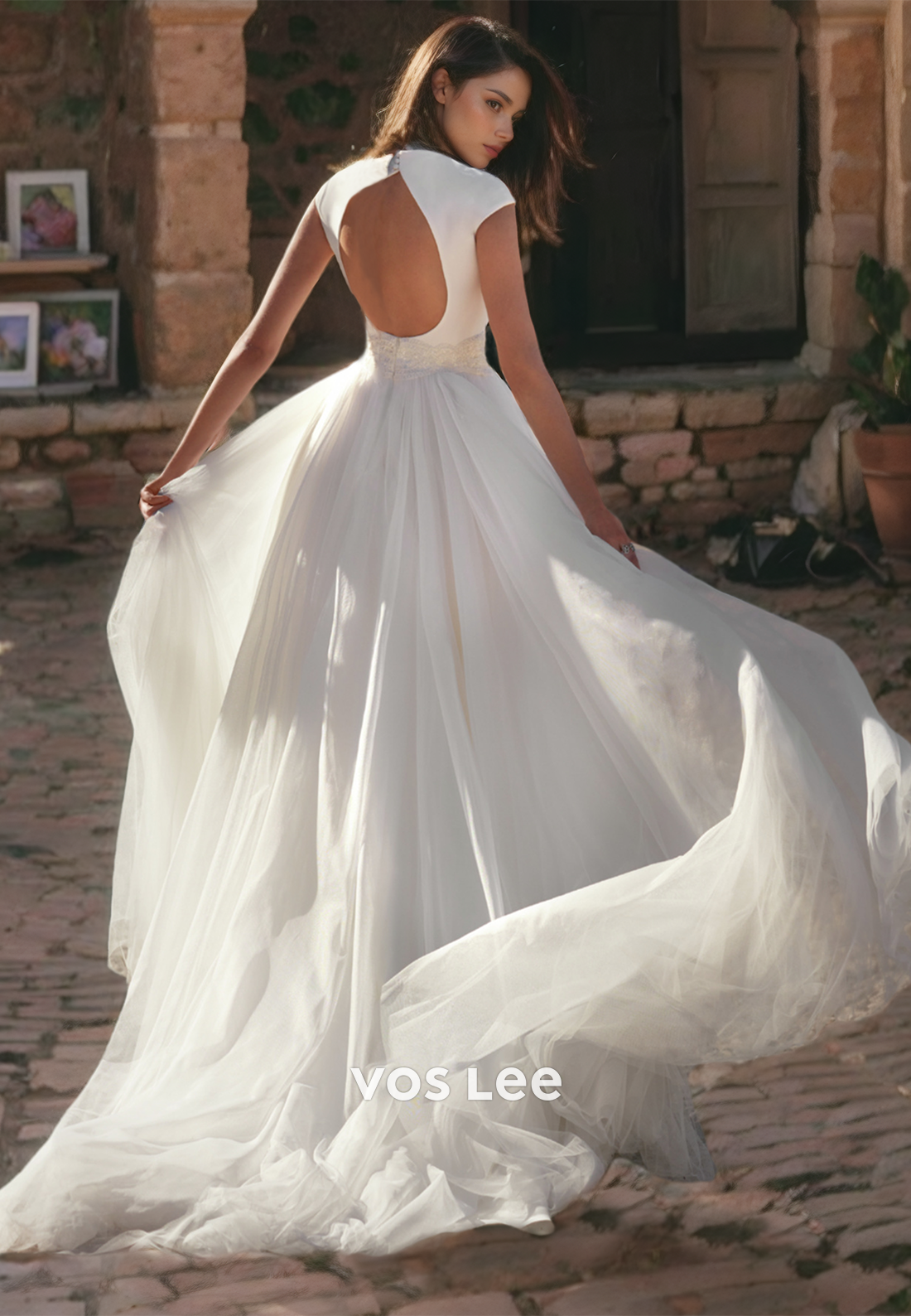 A-Line Deep V-Neck Tulle Wedding Dress Dreamy Backless Bridal Gown with Short Sleeves