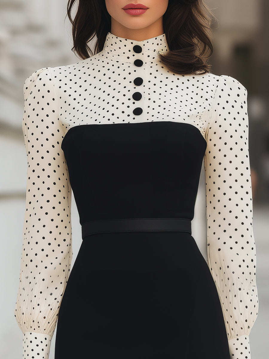 Polka Dot Contrast Panel Pencil Dress