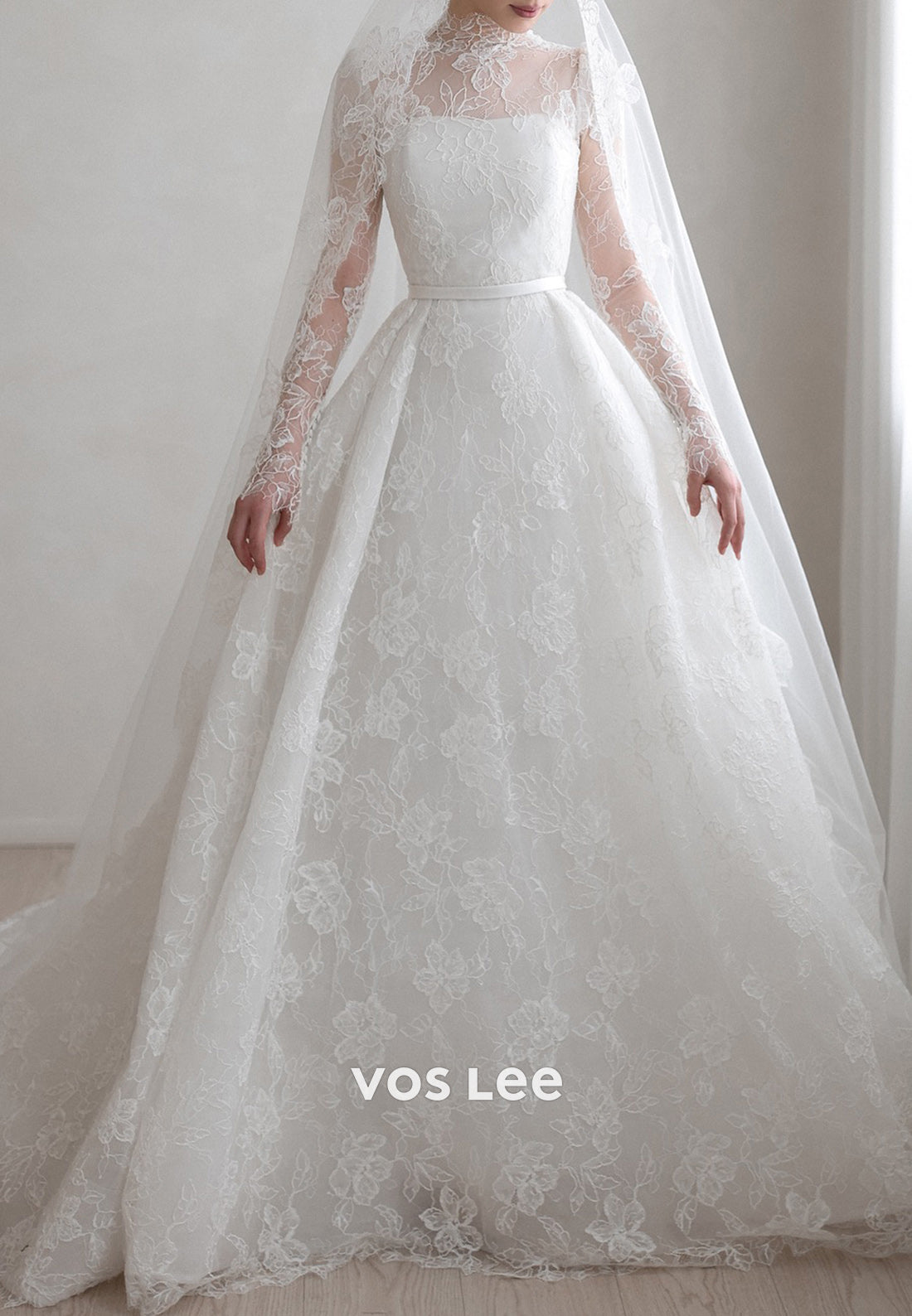Illusion Neck Appliques Lace Ball Gown Wedding Dresses with Chapel Train