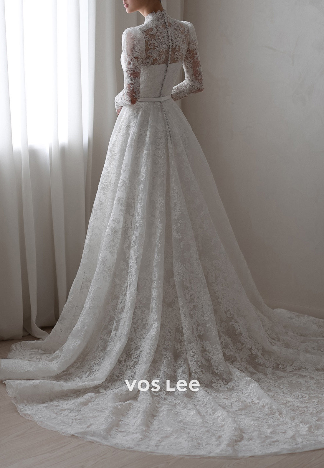 A-Line V Neck Long Sleeve Appliques Lace Wedding Dresses with Court Train