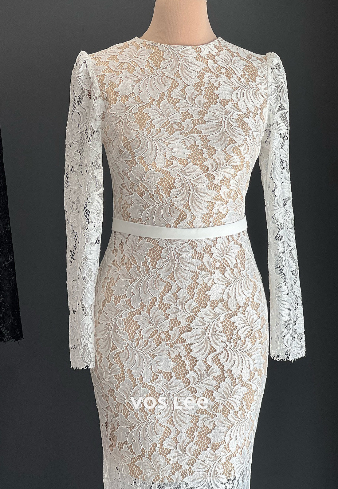 Illusion Cutout Long Sleeve Scoop Lace Mermaid Evening Dresses with Sweep Train