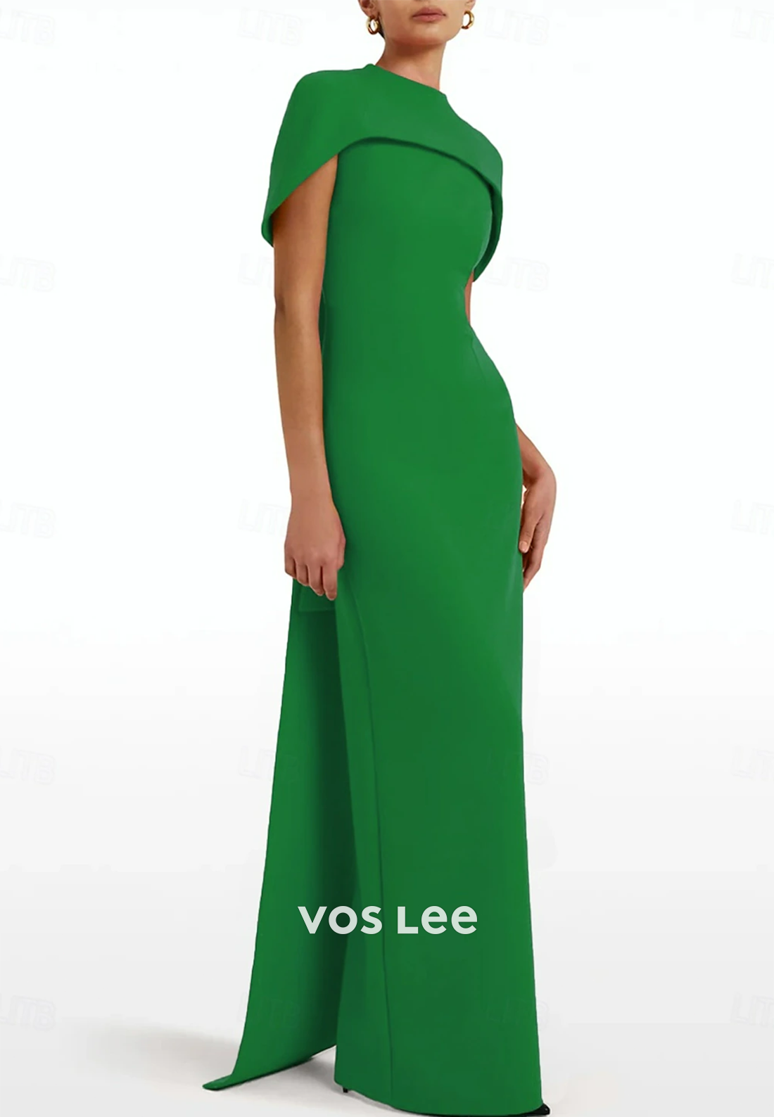 Elegant & Luxurious Mermaid Mother of Groom Evening Dress with Train