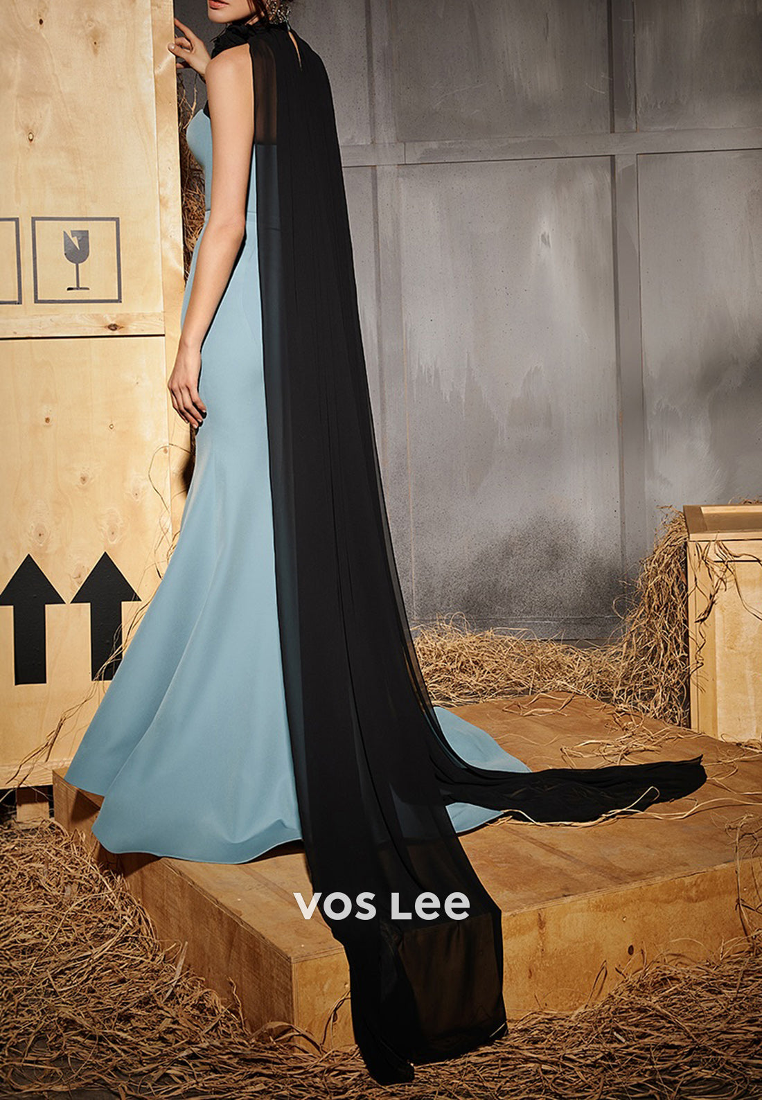 Sexy & Sleek Empire Waist Halter Mermaid/Trumpet Evening Dresses with Sweep Train