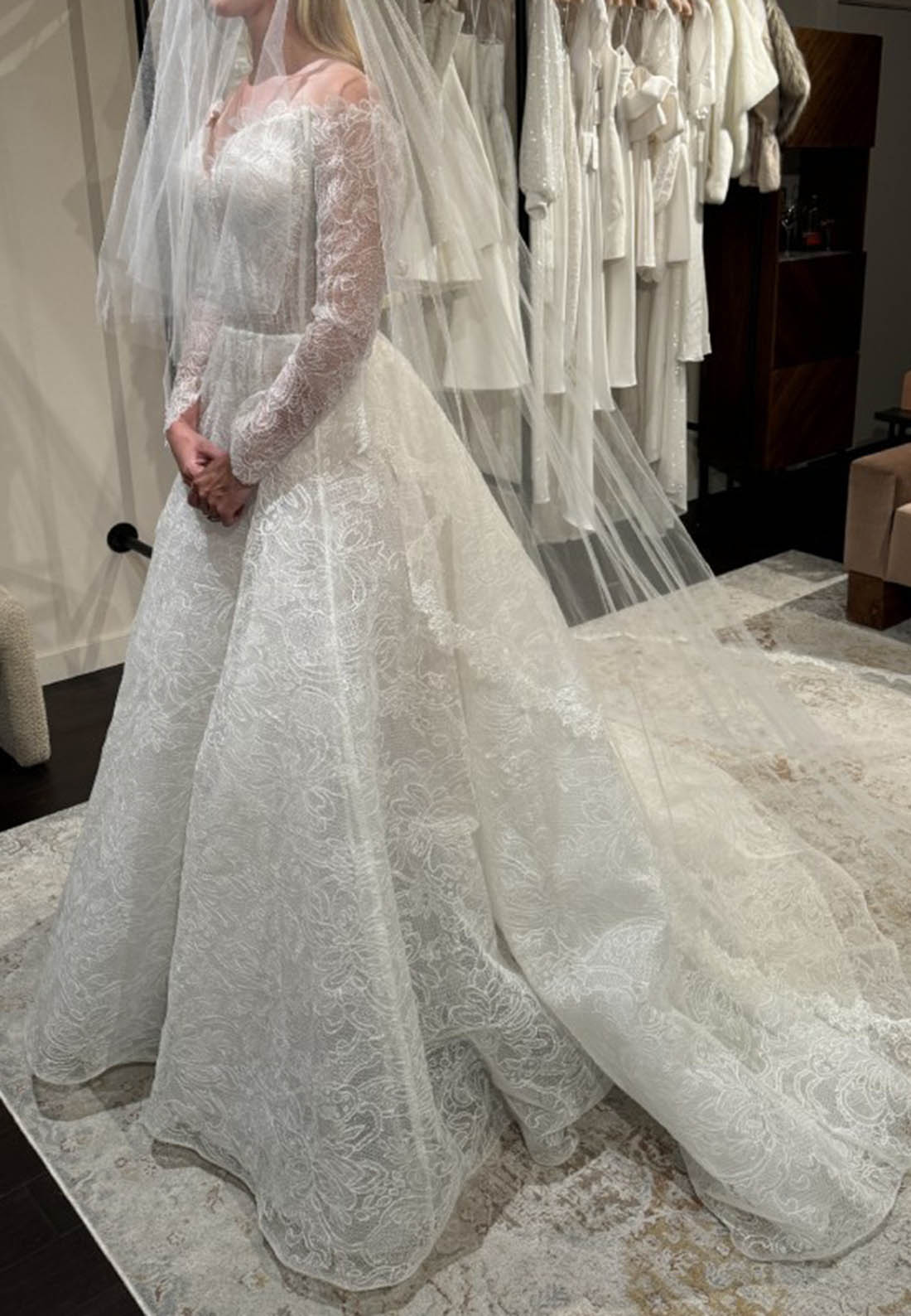 Charming Long Sleeves V-Neck Lace Wedding Dress