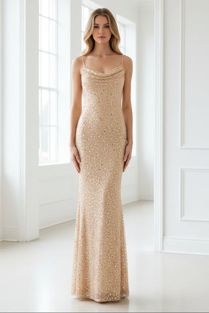 Champagne Gold Sequin Embroidered Backless Mermaid Evening Gown