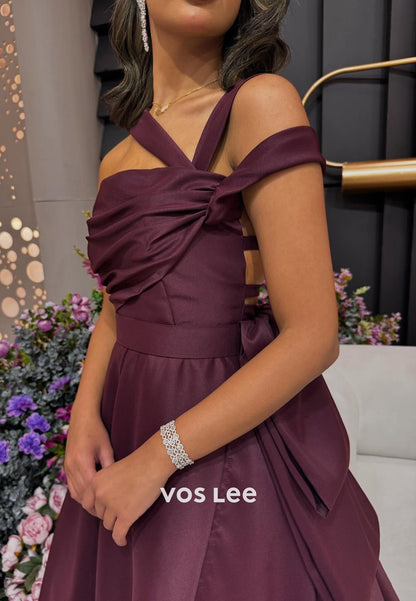 Couture & Ornate A-Line Asymmetrical Neck Pleated Evening Dresses with Chapel Train
