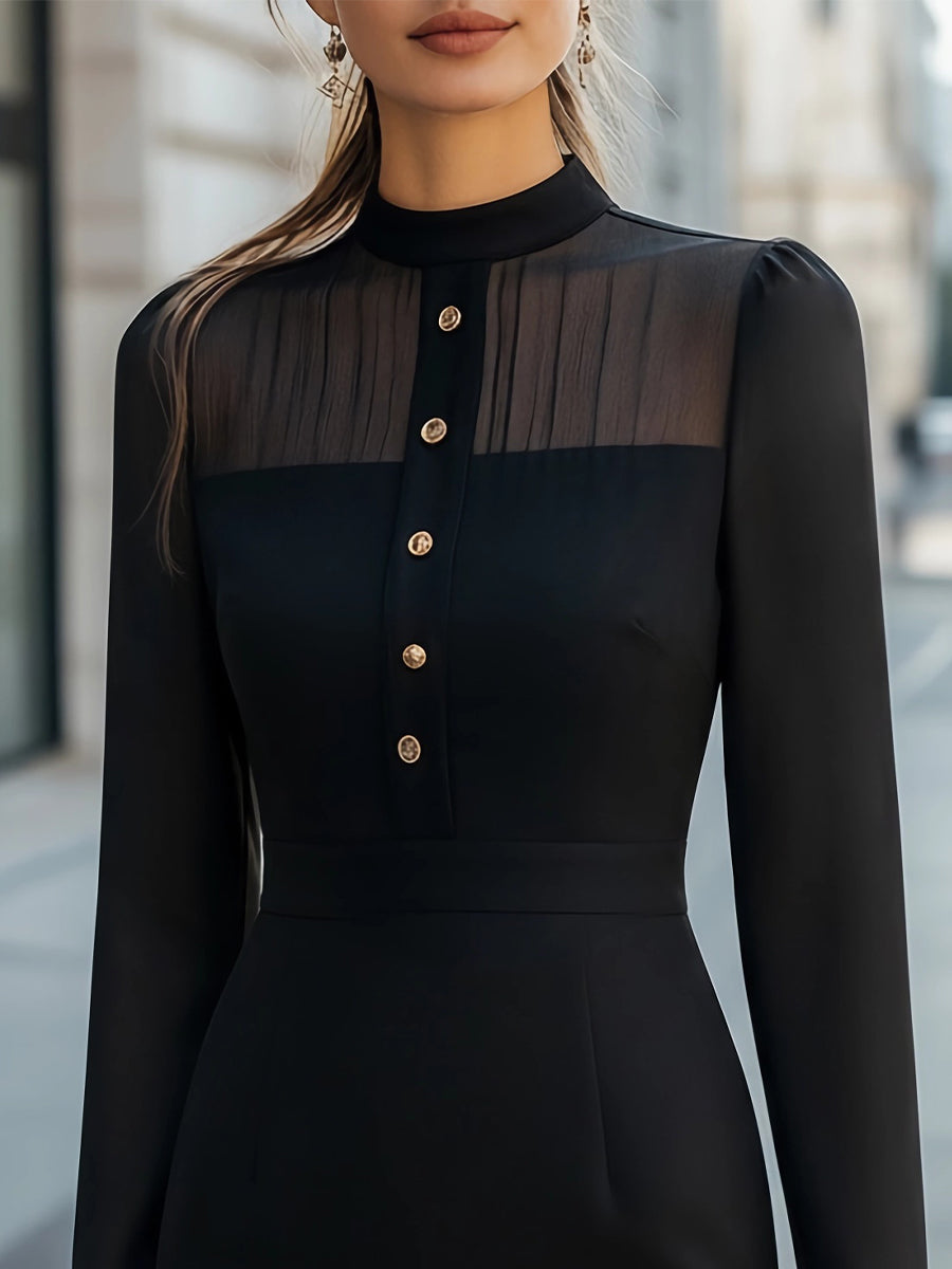 Sheer Panel Buttoned Long Sleeve Dress