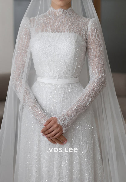 Long Sleeve Illusion Neck High Neck Appliques Sequins Sheath Wedding Dresses