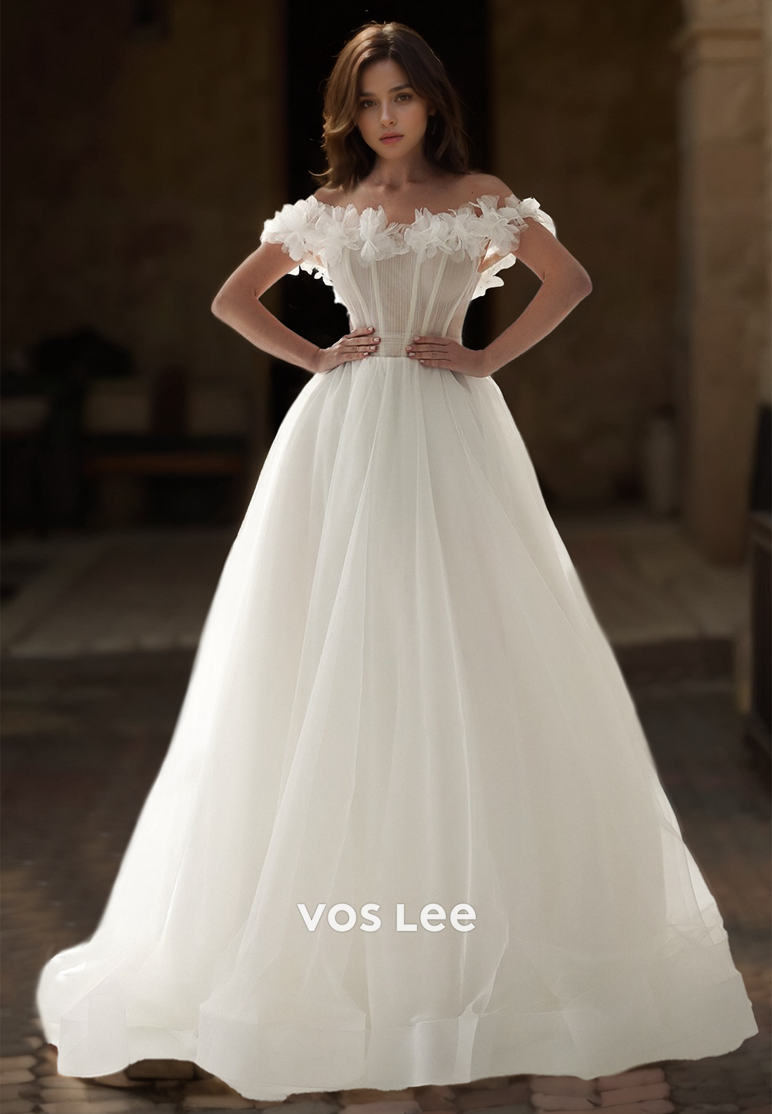 Ornate Off Shoulder A-Line Sleeveless Court Train Back Zipper Pleated Tulle Wedding Gown