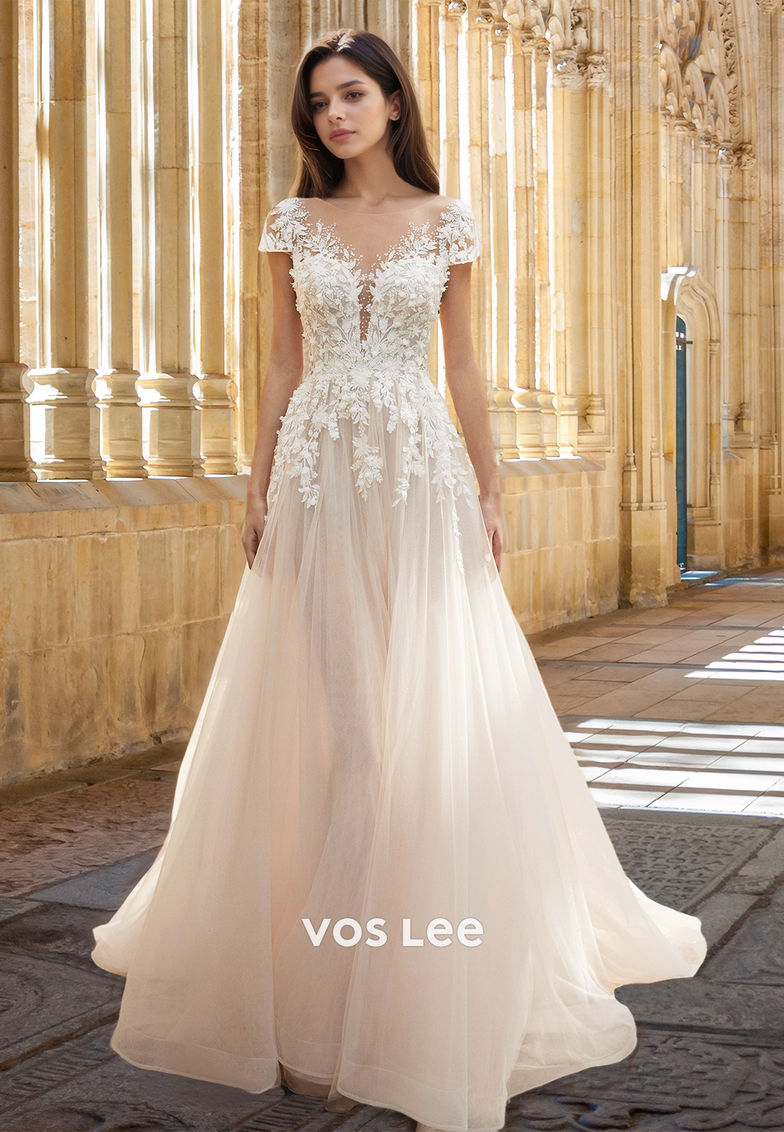 Classy A-Line V Neck Illusuon Short Sleeves Lace Appliques Tulle Wedding Gown