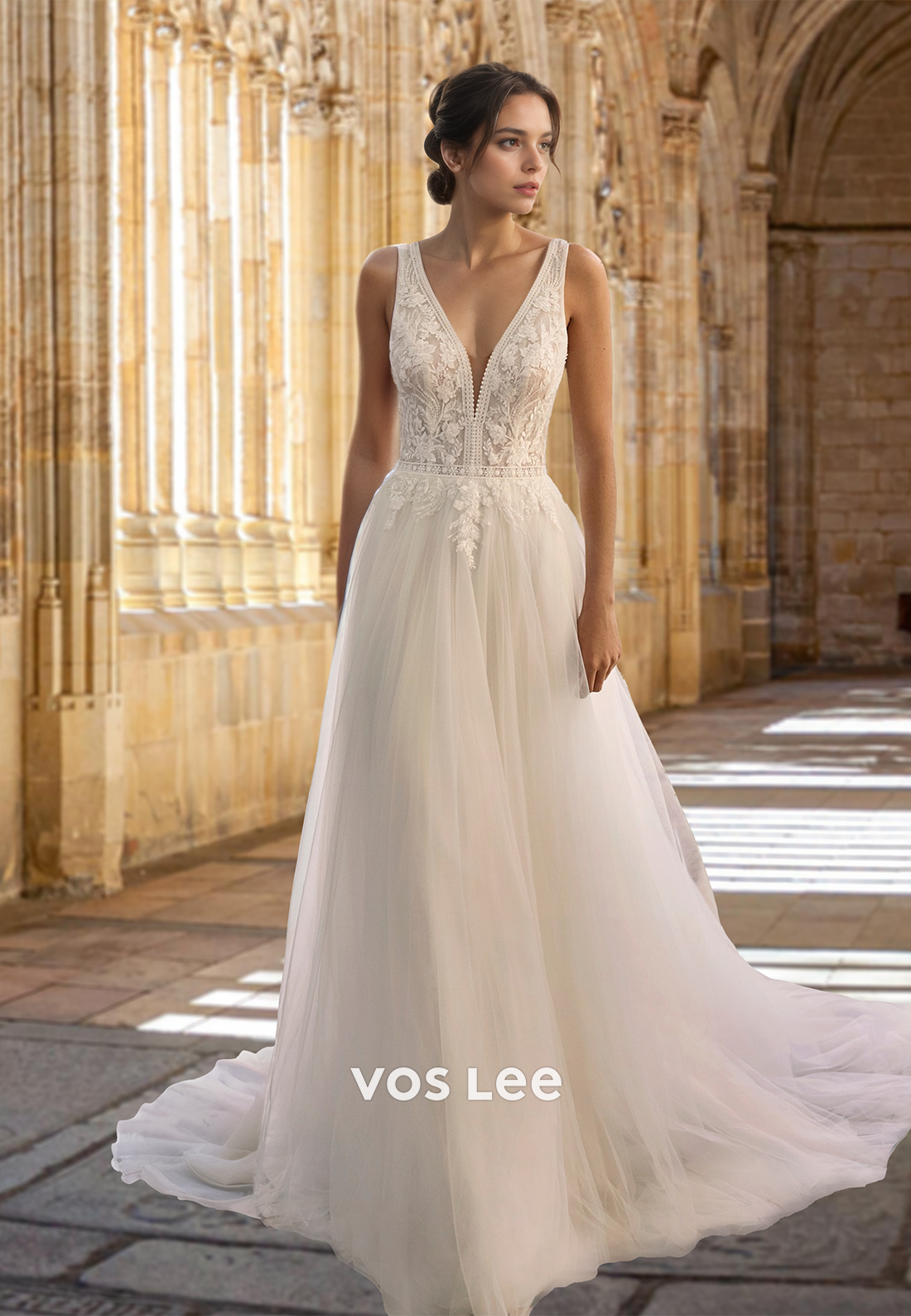 Ornate Plunging V Neck Illusion A-Line Backless Tulle Court Train Wedding Dress