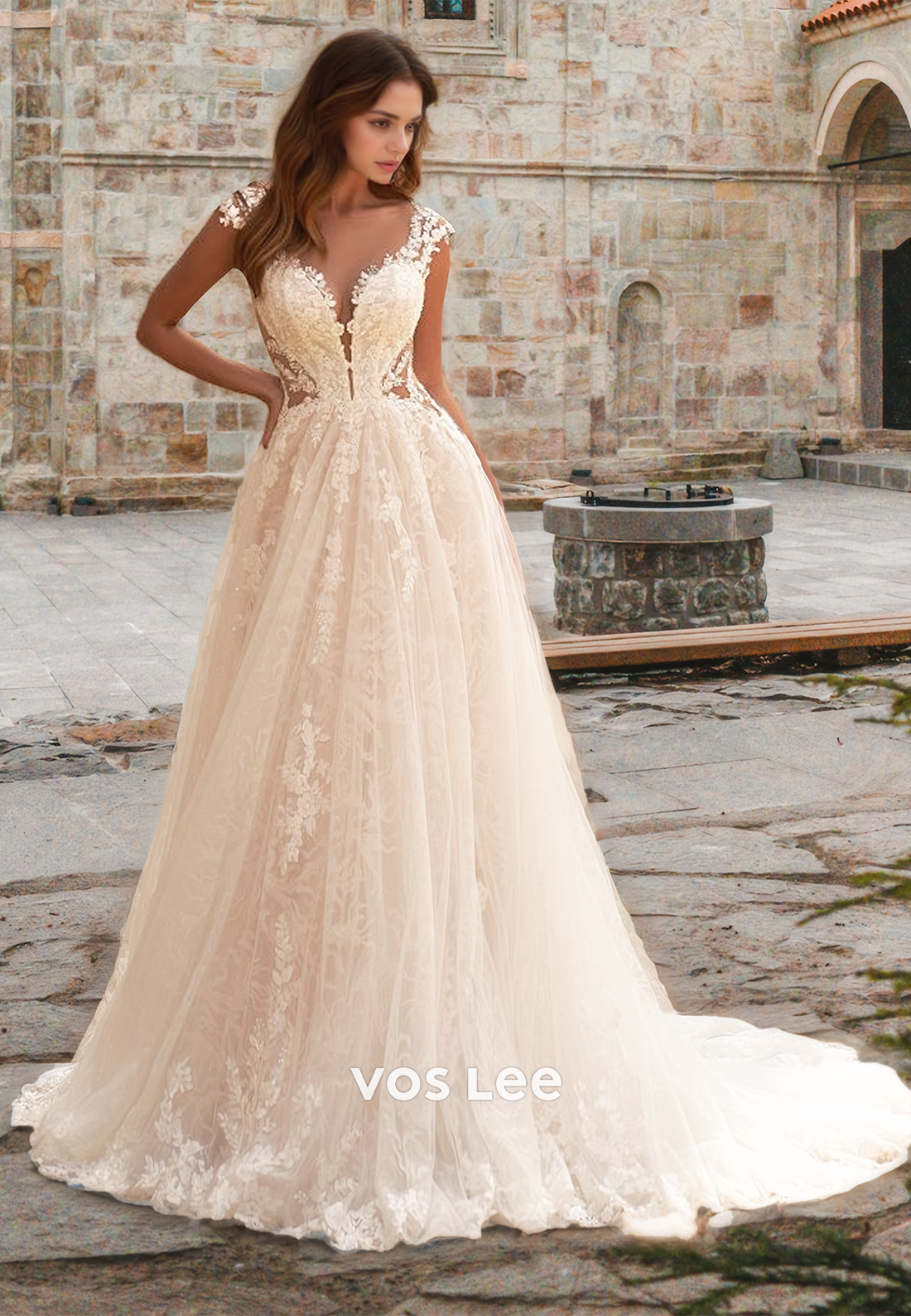 Ornate A-Line Plunging V Neck lIIusion Cap Sleeves Lace Tulle Wedding VOS LEE Ornate A-Line Plunging V Neck lIIusion Cap Sleeves Lace Tulle Wedding VOS LEE