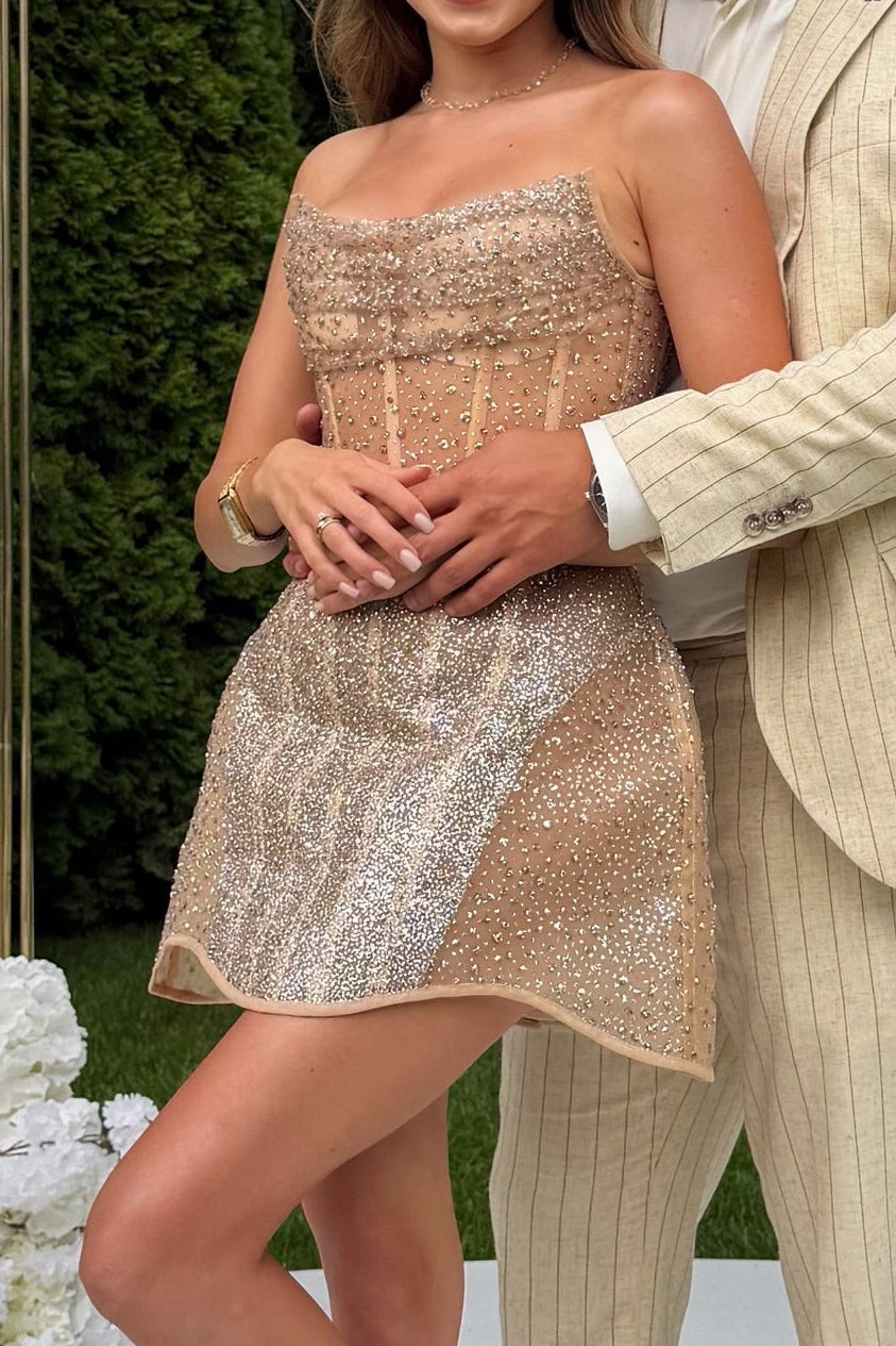 Glitter Corset Mini Dress with Scoop Neck