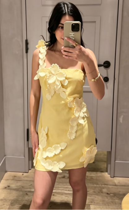 3D Floral Appliqué Spaghetti Strap Mini Dress