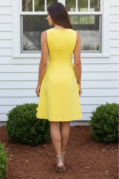 3D Floral Applique Fit and Flare Cocktail Dress