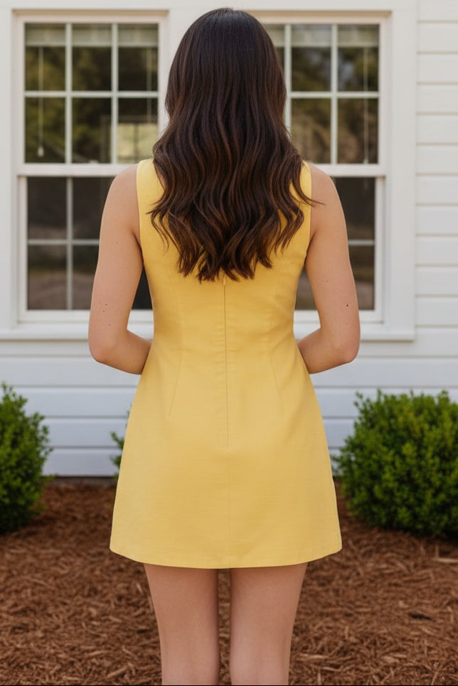 3D Floral Applique Mini Dress with V-Back