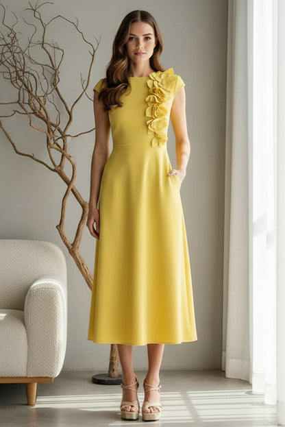 Midi A-Line Dress with 3D Floral Detail & Pockets