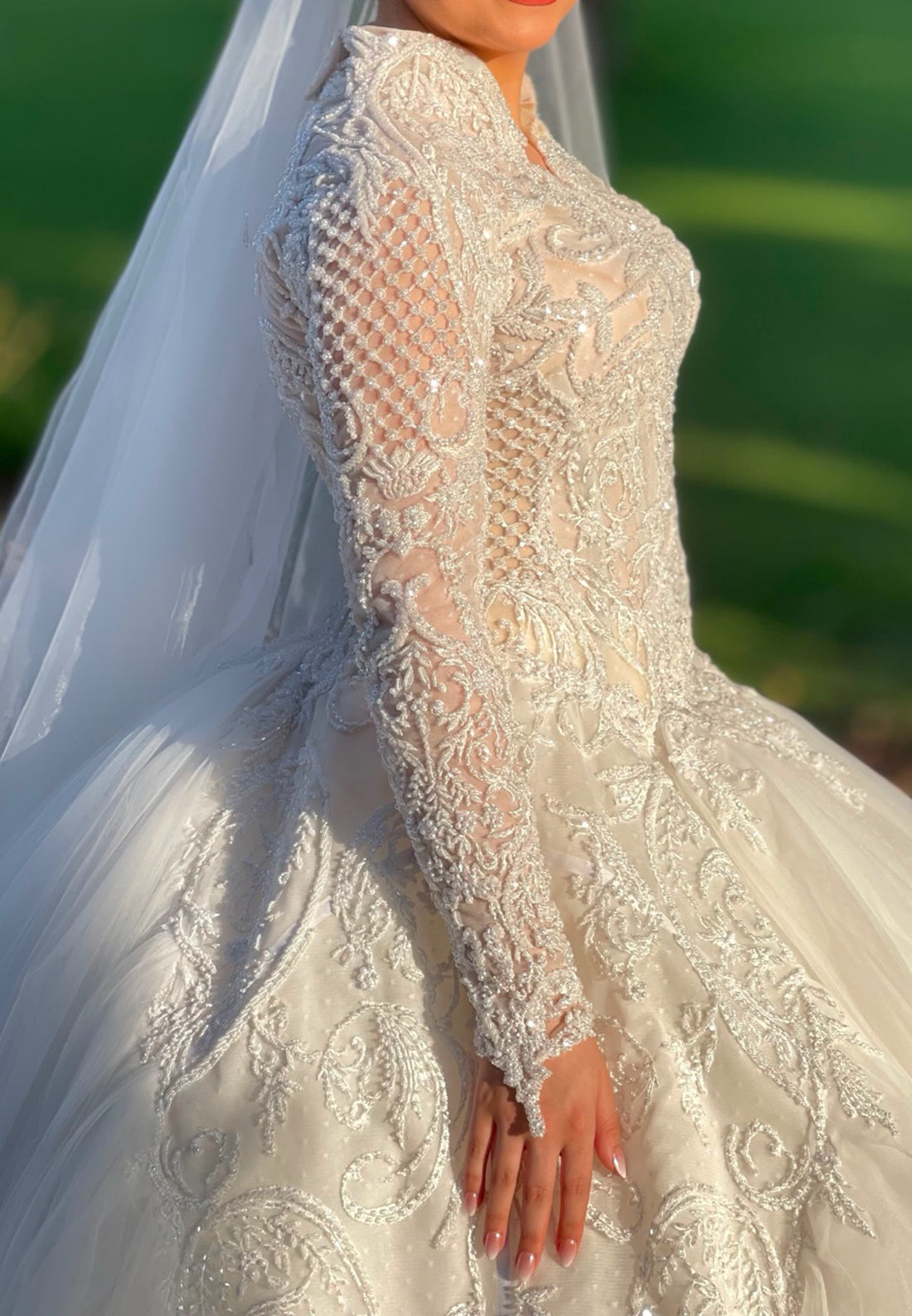 Embroidered Ball Gown Wedding Dress with Long Sleeves