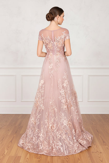 Illusion Lace Applique A-Line Evening Gown