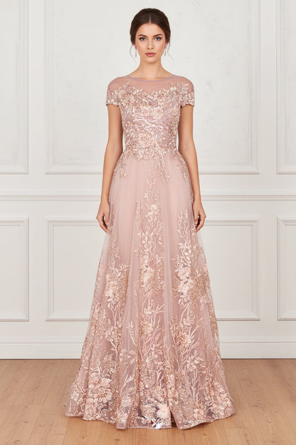 Illusion Lace Applique A-Line Evening Gown