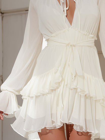 Ruffled Chiffon Long Sleeve Mini Dress