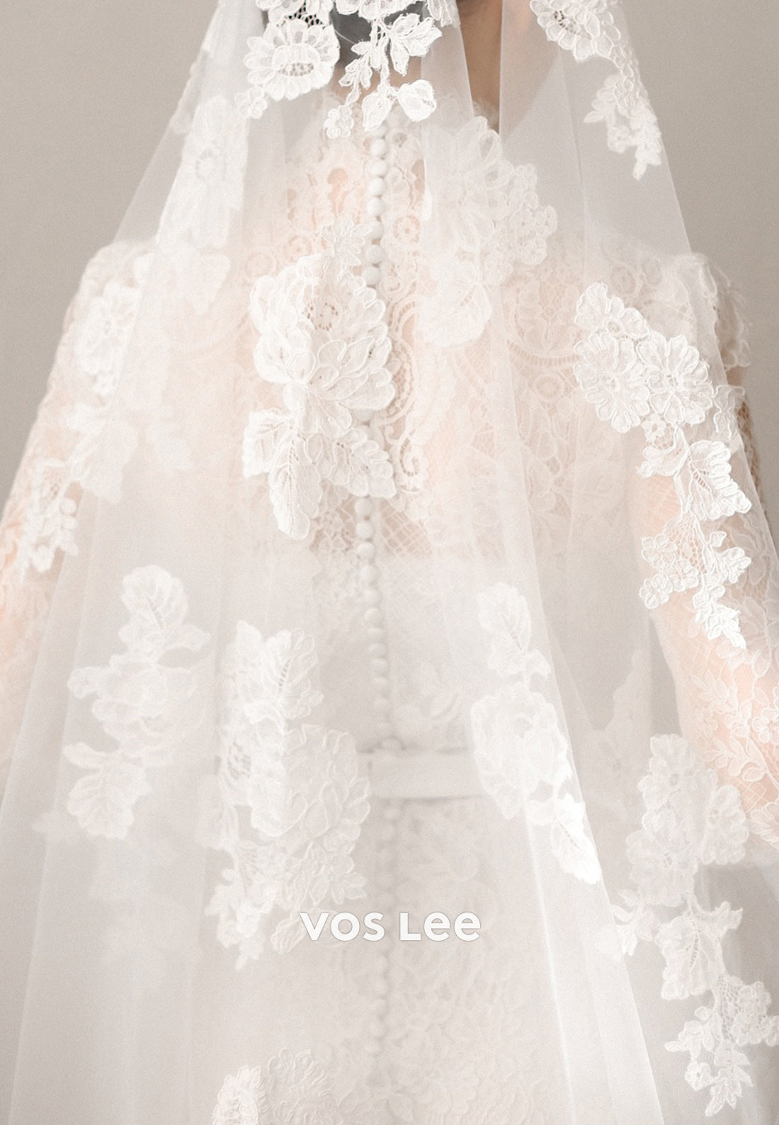 Long Sleeve Illusion Neck Appliques Lace Sheath Wedding Dresses with Sweep Train
