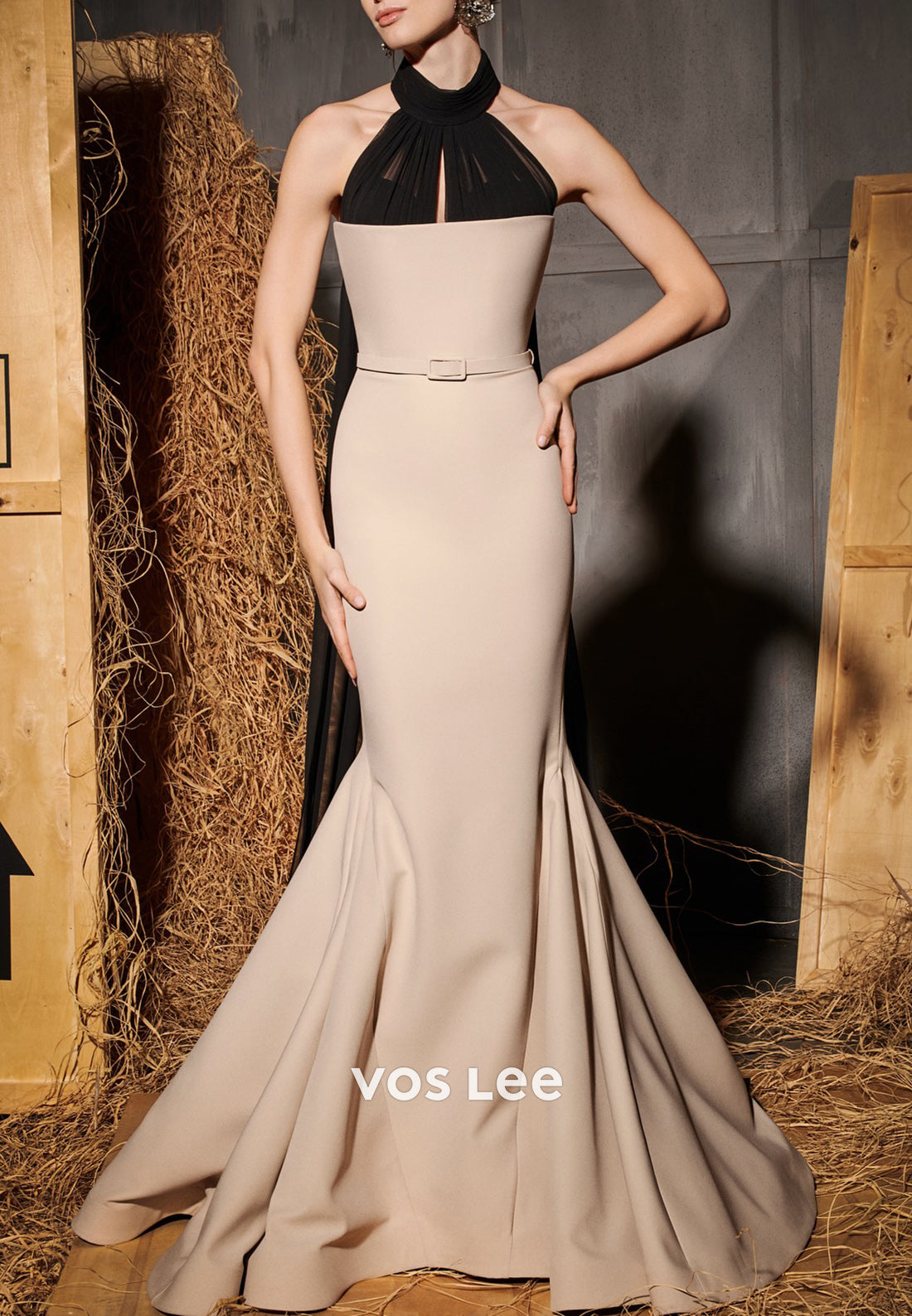 Elegant & Luxurious Halter Trumpet Party Dresses Evening Dresses with Sweep Train