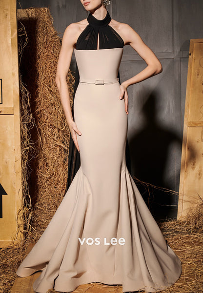 Elegant & Luxurious Halter Trumpet Party Dresses Evening Dresses with Sweep Train