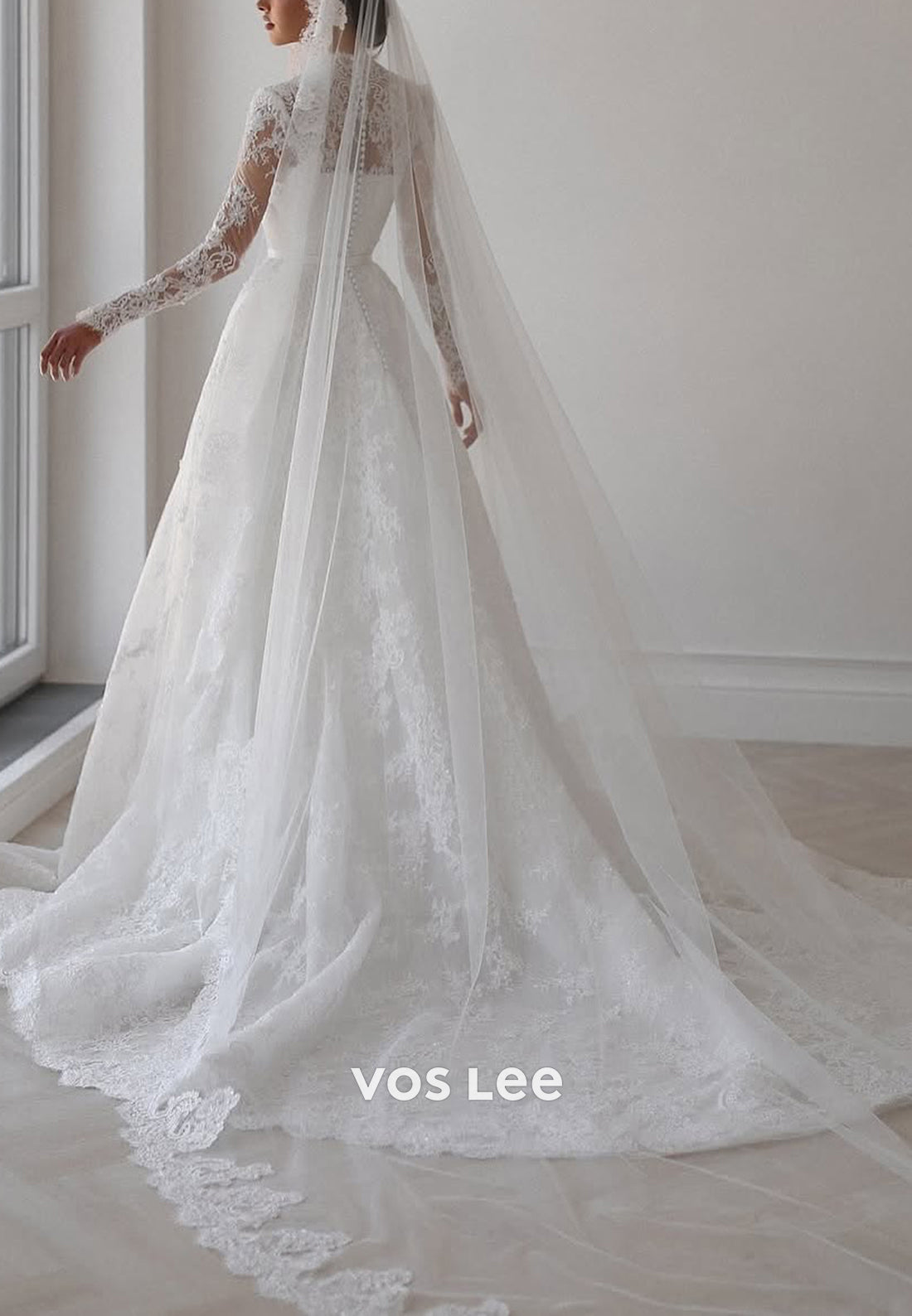 A-Line Long Sleeve Queen Anne Appliques Lace Pleated Wedding Dresses with Court Train
